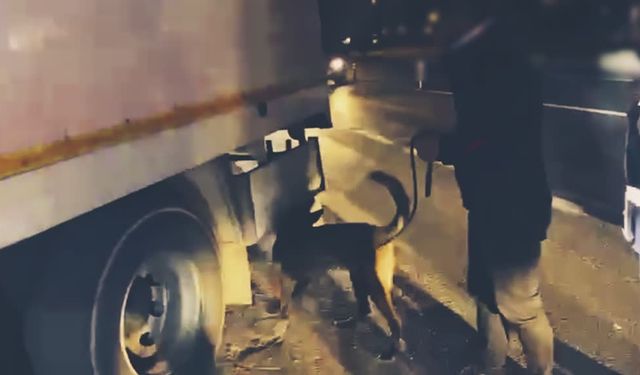 Van'da 113 kilogram narkotik madde ele geçirildi