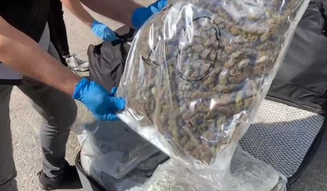 Adana'da tırda 55 kilogram yasaklı madde ele geçirildi