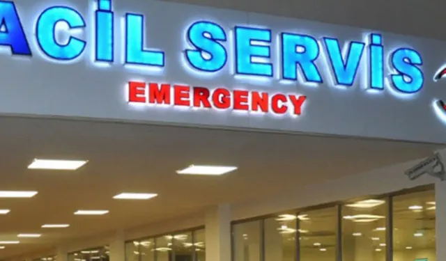 Adıyaman'da ayı saldırısı: 1 yaralı