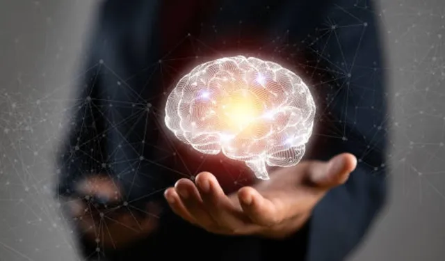 Araştırmaya göre beynin en üretken yaş aralığı belli oldu!