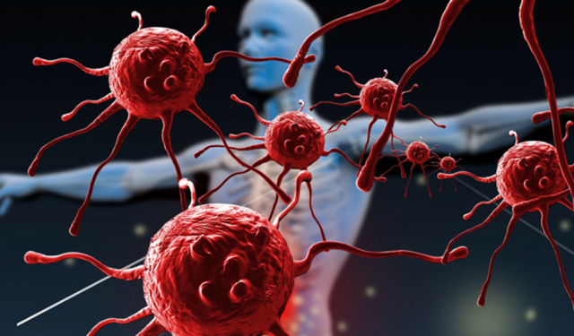 Bağışıklık sistemini güçlendirmek için uzmanlardan öneriler