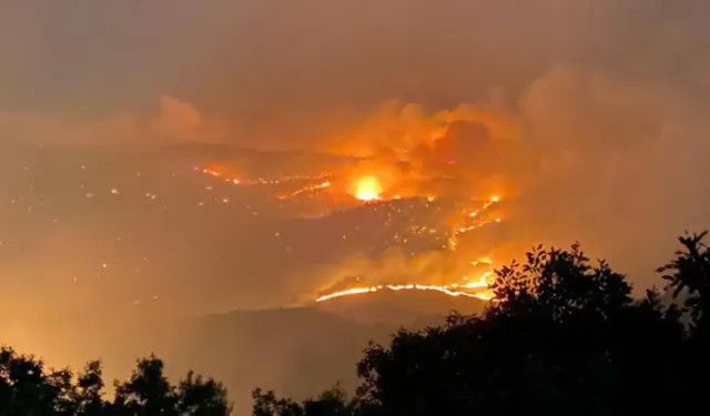 Bingöl'de ormanlık alanda yangın