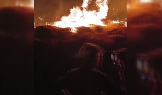 Bitlis'te anız yangını...