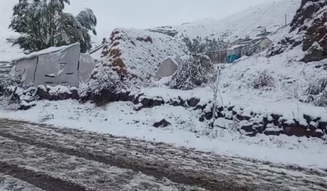Doğu Anadolu'nun yüksek kesimlerinde kar yağışı etkili oldu