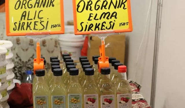 Fermente yiyecek ve içecekler aynı zamanda probiyotik mi?