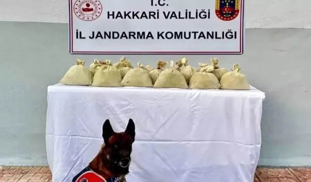 Hakkari'de 15 kilo toz esrar ele geçirildi