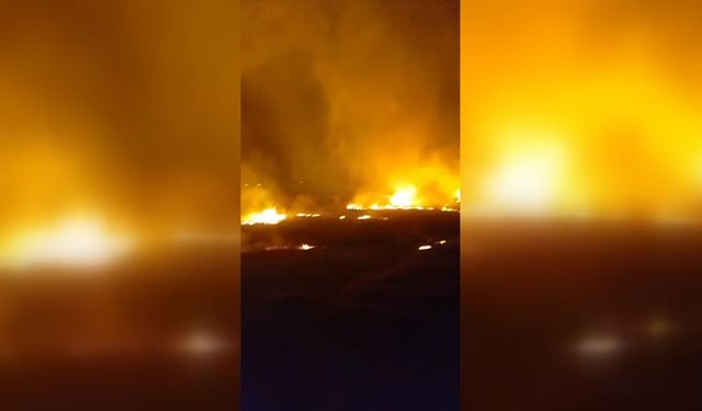Hakkari'de Nehil Sazlığı'nda yangın