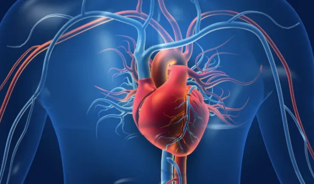 Kalp yaması üretildi: Karbon bazlı esnek zarlar