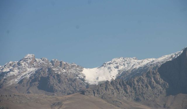 Kars'ta üniversite öğrencileri 90 bin şehit anısına fidan dikti