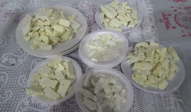 Muş'ta çiftçiler arasında peynir yarışması