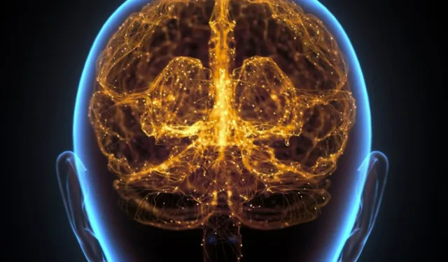 Psikopatların beyin yapısında önemli fark! Psikopati genetik mi?