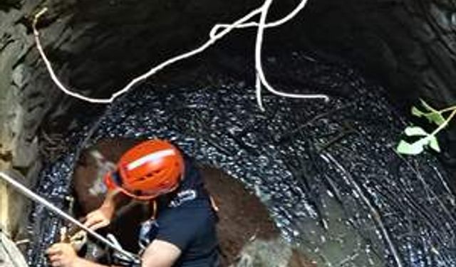 Siirt'te 8 metre derinliğindeki su kuyusuna düşen inek kurtarıldı