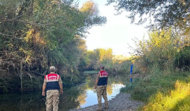 Zincire bağlanan kurt kurtarıldı, sahibine 81 bin lira ceza kesildi