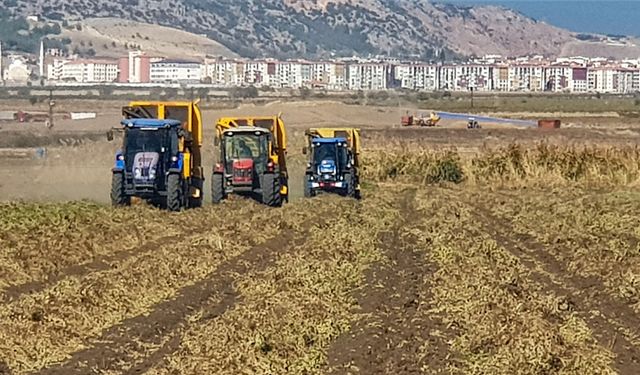 Gaziantep'te yerfıstığı hasadı başladı