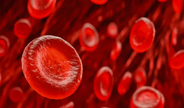 1972’deki gizemli vakadan doğan keşif: Yeni bir kan grubu bulundu