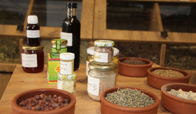 Bağışıklık sistemini güçlü tutmak için şifalı bitkilerle kışa hazırlık