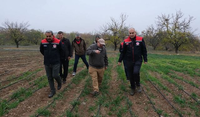 Malatya’da safran üretimi yaygınlaşıyor