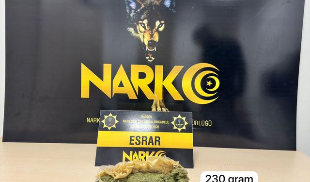 Mardin'de narkotik operasyonunda 2 şüpheli yakalandı