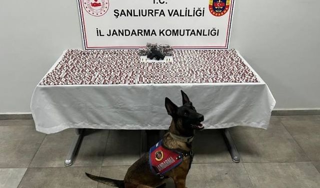 Şanlıurfa'da narkotik operasyonunda 2 şüpheli yakalandı