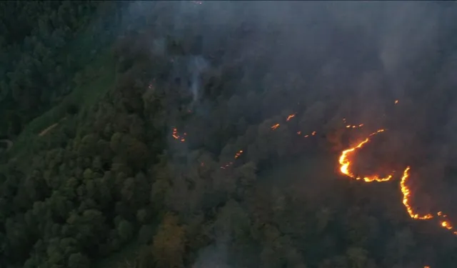 Artvin'de örtü yangını: 135 personel ve 32 araçla müdahale