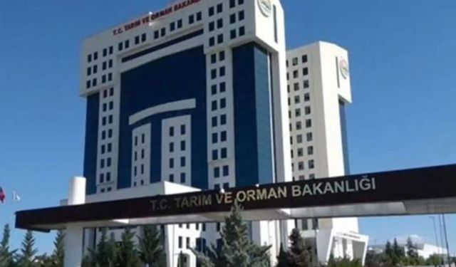 Bakanlıktan yeni alım fırsatı: Kadrolu memur istihdamı başladı!