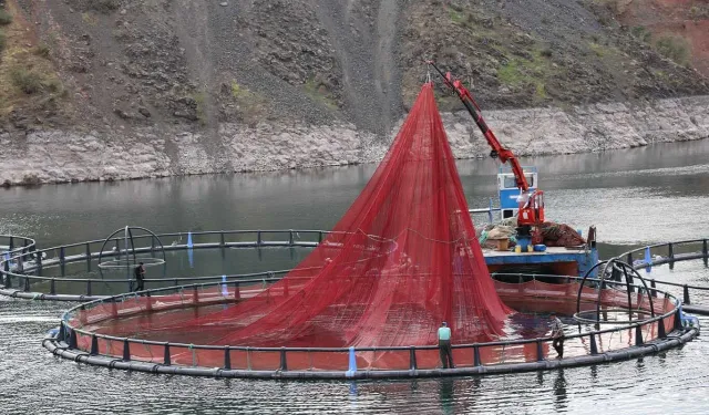 Diyarbakır'da 500 ton kapasiteli balık üretim tesisi ihracata başlayacak