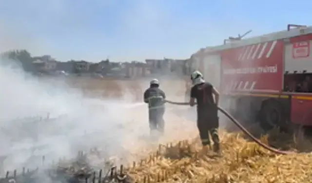 Batman'da fırtına: Tandırdan sıçrayan kıvılcımlar mısır tarlasını yaktı