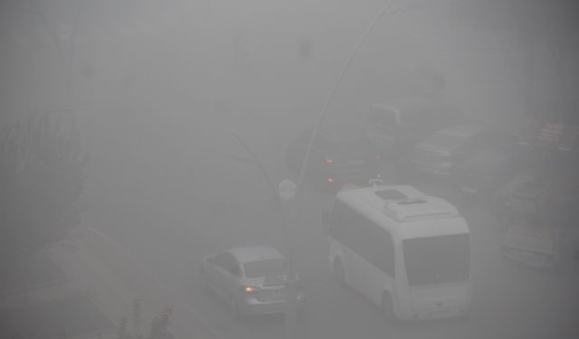 Batman'da yoğun sis nedeniyle görüş mesafesi düştü