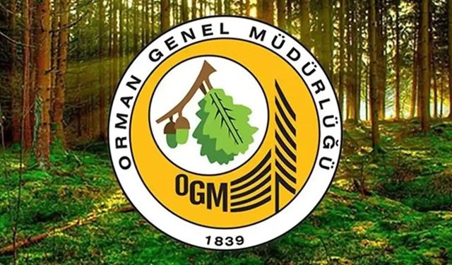 Orman Genel Müdürlüğü 496 personel alıyor: Başvurular yarın