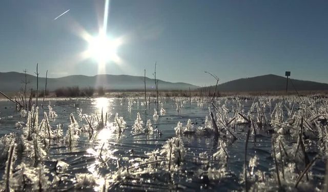 Erzurum, Ardahan ve Kars’ta soğuk hava ve sis etkili