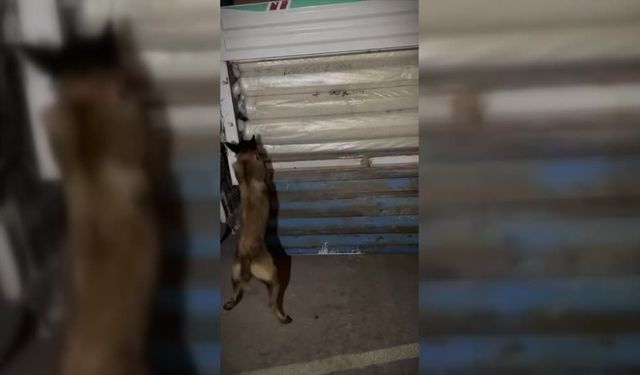 Hakkari’de 87,5 kilo uyuşturucu ele geçirildi