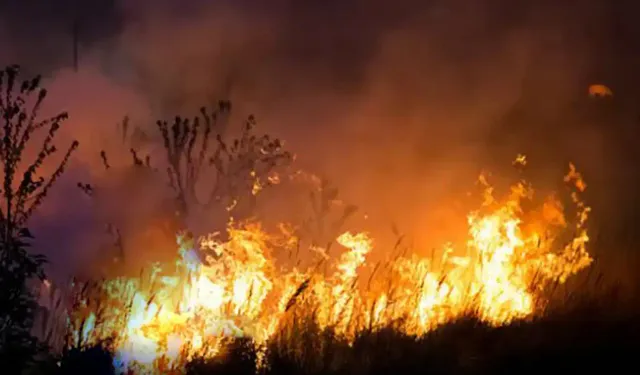 Hakkari'de kuş cenneti olarak bilinen Nehil Sazlığı'nda yangın