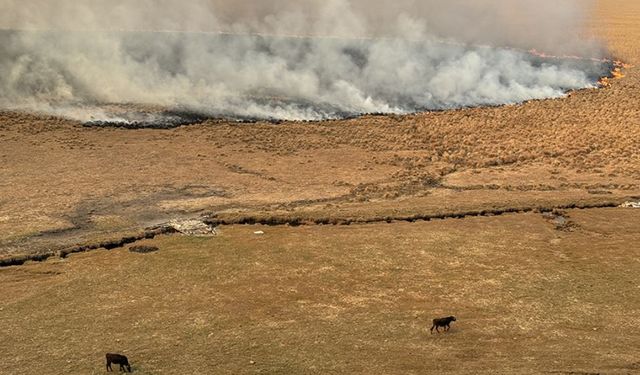 Hakkari'de Nehil Sazlığı'ndaki yangına havadan müdahale ediliyor