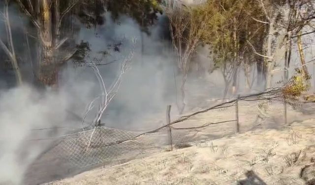 Hatay’da ağaçlık alanda yangın söndürüldü
