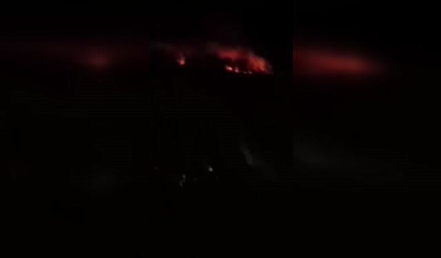 Hatay'da ormanlık alanda yangın