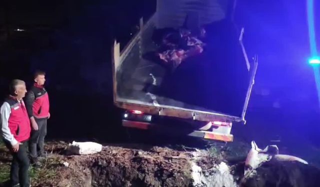 Hatay’da veteriner sağlık raporu bulunmayan et ele geçirildi