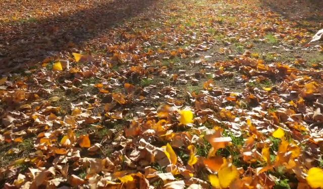 Hazar Gölü sonbahar renkleriyle doyulmaz manzaralar sunuyor
