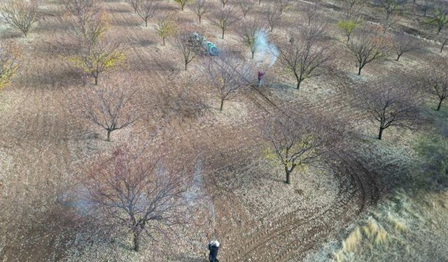 Kayısı üreticilerine sonbahar uyarısı