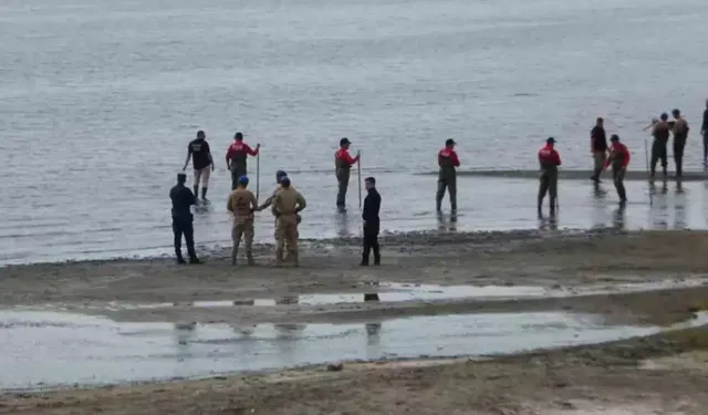 Rojin Kabaiş davasında flaş karar: Başsavcı duyurdu!