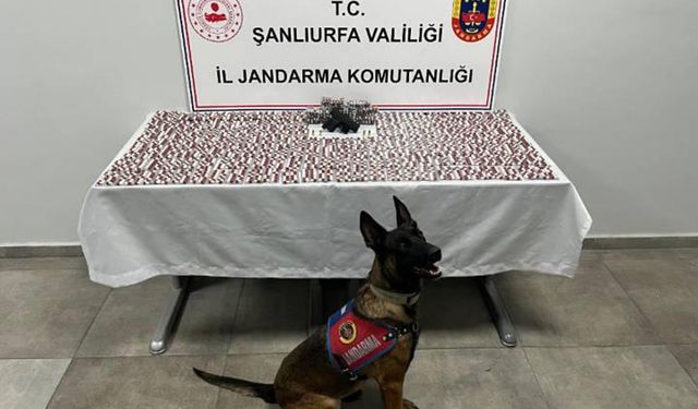 Şanlıurfa’da sentetik ecza ve silah ele geçirildi
