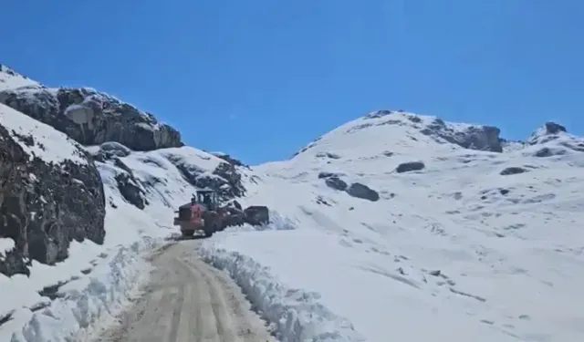 Sason'da Mereto Dağı sezonun ilk karıyla beyaza büründü