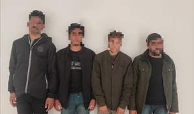 Siirt’te sahte pasaportla 4 düzensiz göçmen yakalandı