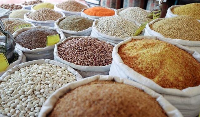 Güneydoğu Anadolu'nun hububat ihracatı 10 ayda 2,9 milyar dolara ulaştı