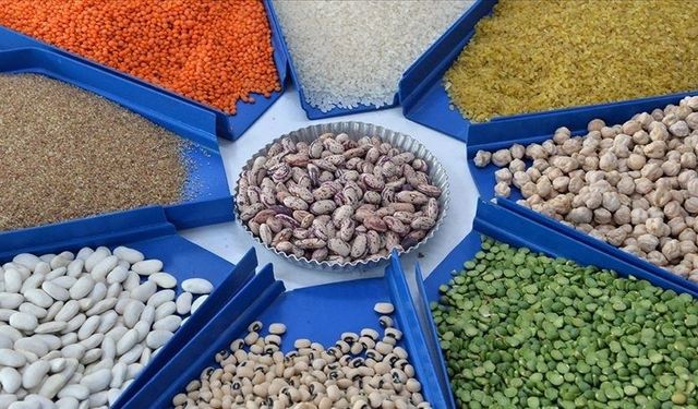 Türkiye'nin hububat ve bakliyat ihracatı 10 milyar doları aştı