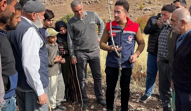 Üreticilere Siirt fıstığında doğru budama eğitimi