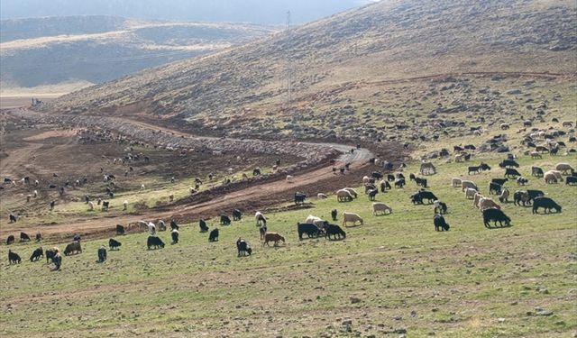 Vali talimat verdi: Taşkın riski azaltıldı, ekolojik denge korundu