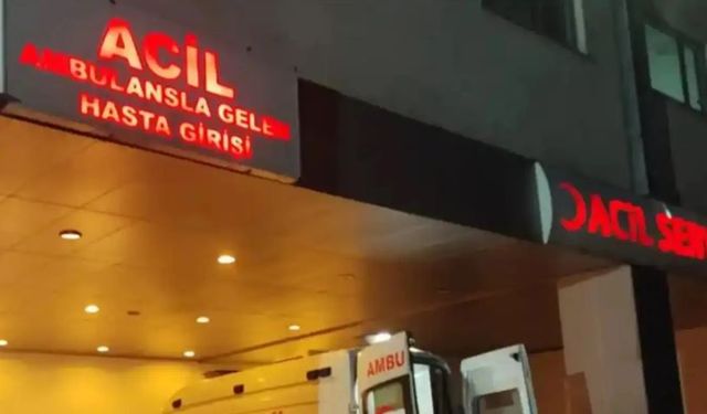 Van'da görevli hemşire evinde ölü bulundu