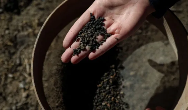 Van'da tarihi kazılar: 5 bin yıllık arpa taneleri bulundu