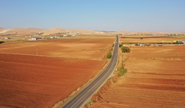 Çiftçilere kuraklığa dayanıklı tohum önerisi