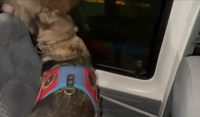 Artvin'de kaçakçılıkla mücadele sürüyor